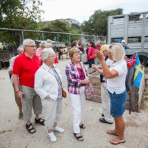 omis_freja06 omiš freja