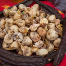 selo_freja04 freja izlet na selo