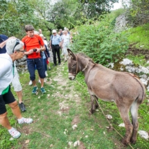 selo_freja17 freja izlet na selo