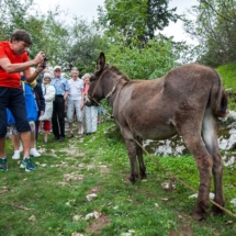 selo_freja18 freja izlet na selo